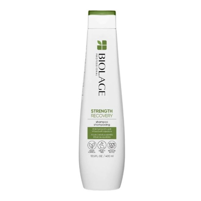 Matrix Strength Recovery Shampoo