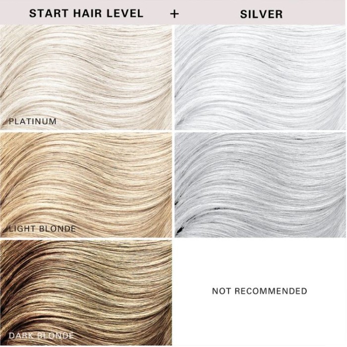 Keracolor Color Clenditioner Colour Shampoo Silver