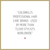 Goldwell Dualsenses Rich Repair Shampoo