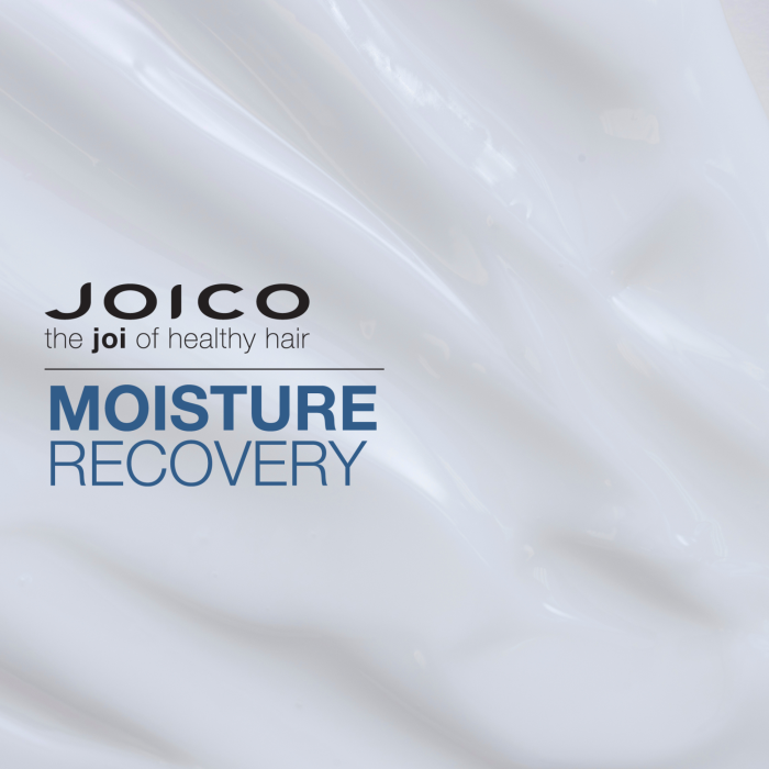 Joico Moisture Recovery Conditioner