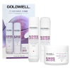 Goldwell Dualsenses Blondes & Highlights Trio