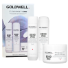 Goldwell Dualsenses Bond Pro Trio