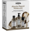 L'Oreal Professional Absolut Repair Molecular Gift Set