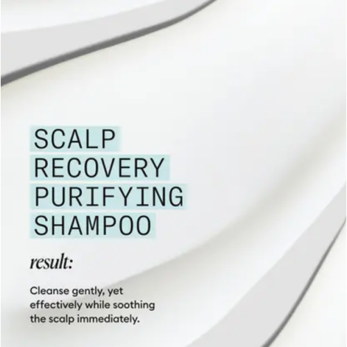 Nioxin Scalp Recovery System Purifying Shampoo