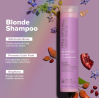 Paul Mitchell Clean Beauty Blonde Shampoo