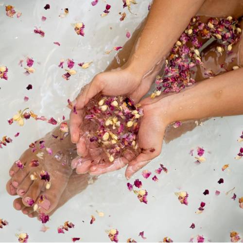 Stray Willow Flower Bath