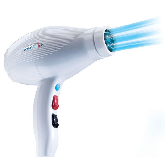 Gama Pui Active Oxygen Hair Dryer