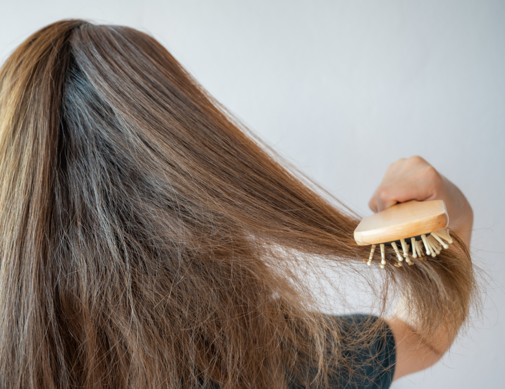 Autumn Hair Loss